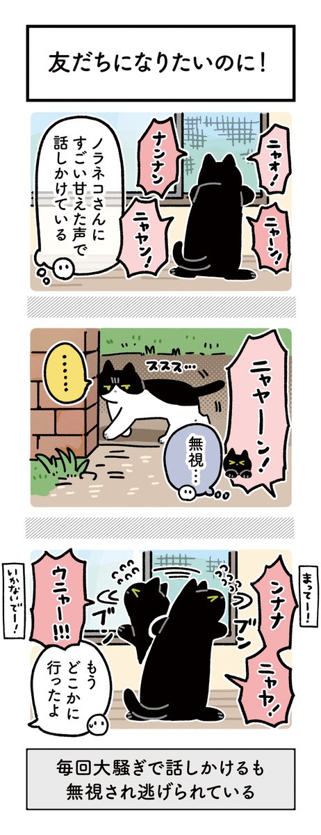 bou128's tweet photo. たまに窓の外を歩いているノラネコさんと仲良くなりたくて奮闘していたろんさんの絵日記です🎐（単行本4巻収録）
6枚あります✌️ https://t.co/DgkNv8Rdhz