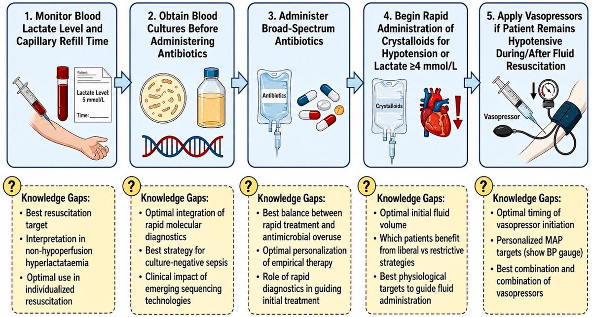 CritCareReviews's tweet photo. Hour-1 Sepsis Bundle: Updated Evidence

CCR Journal Watch
https://t.co/Sp06oA6IDG https://t.co/p79db4ja6p