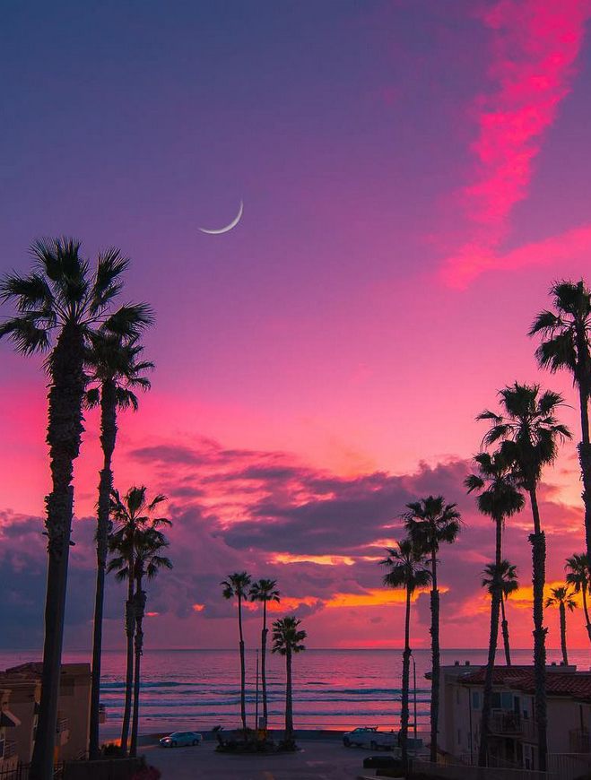 NoviAgustinings's tweet photo. missing the beach a lot today. 🫠 https://t.co/ptdiG2NMQk