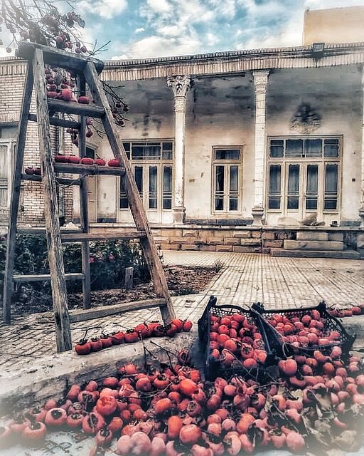 shahrzad_omidi's tweet photo. No genre. No rules.
Just whatever makes me stop, look, and press the shutter. 📸

A few moments from my world. 🖤

Available on @objktcom ✨

#Photography #NFTPhotography #Tezos #TezosArt #TezosNFT #PhotographyNFT https://t.co/myMFNuVFPt