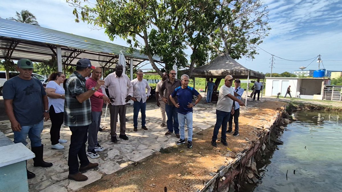 AsambleaCuba's tweet photo. Para conocer las experiencias del productor Lázaro Alcántara, quien desde el ámbito local contribuye en la producción de alimentos en Marianao, con la cría y reproducción de alevines; Esteban Lazo Hernández acudió hasta su área productiva. https://t.co/7tpxN35MTc