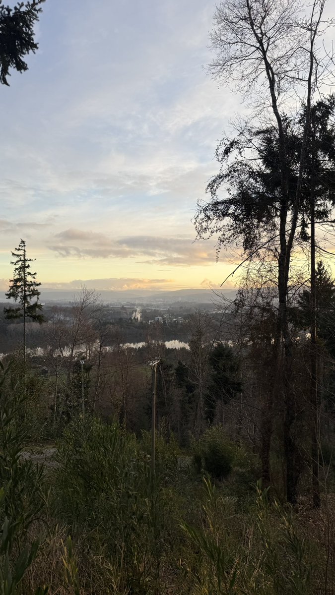 Garcomcl's tweet photo. Buscas una propiedad en el sur de Chile? Ingresa a nuestra página y verás desde parcelas hasta deptos. #Pucon #Valdiviacl #PtoVaras #LagoRanco #SurdeChile #Villarrica 

https://t.co/LTvrS37xsQ 

Instagram https://t.co/5XJsTnMrAB https://t.co/7h3fEjPZC9