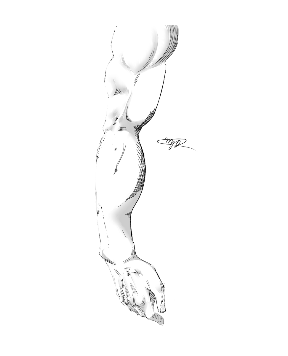 MattyJammyDavvy's tweet photo. anatomy study of an arm lol. tips &amp; advice appreciated! (defo on shading) https://t.co/HoFLrFVg4n