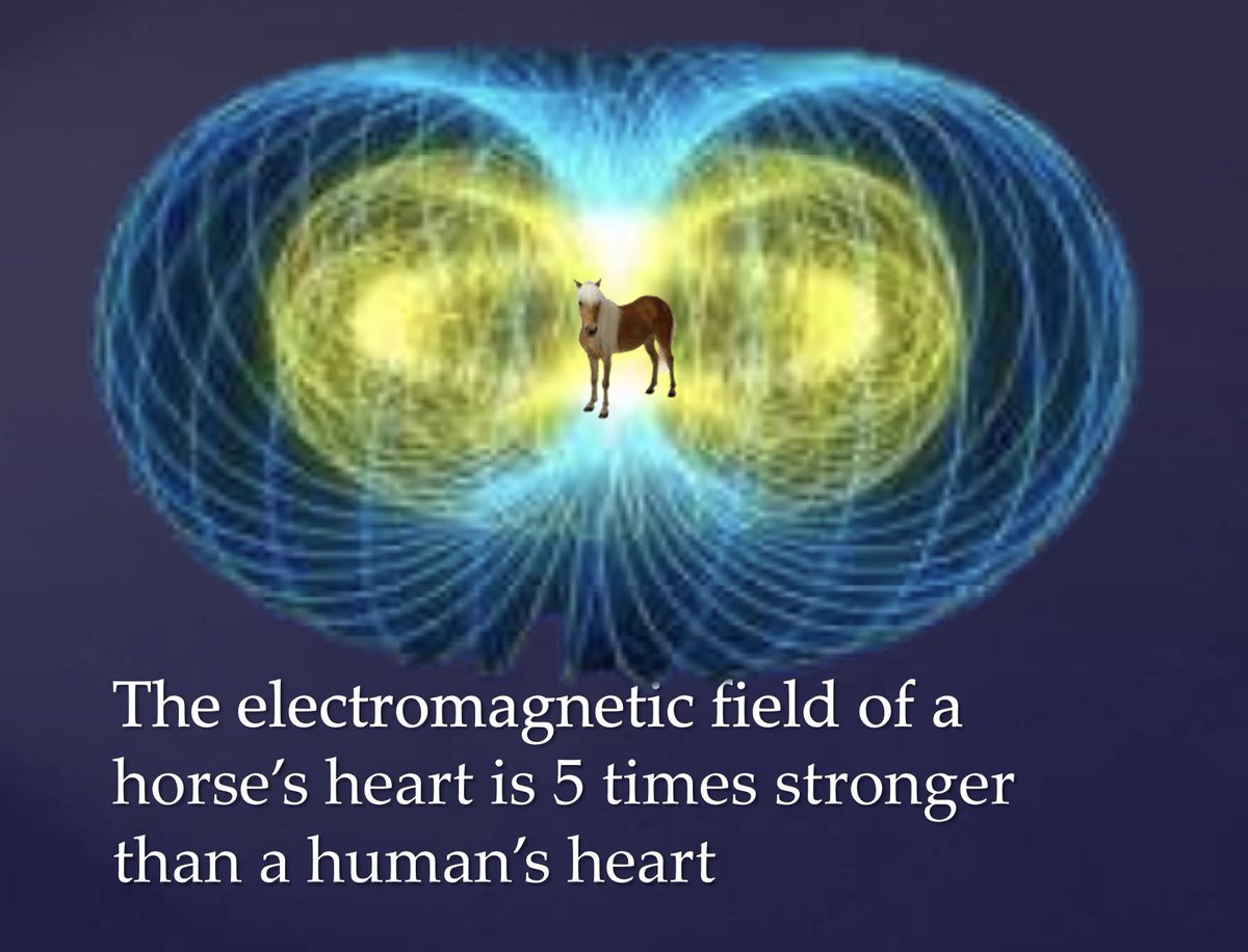 horseimage's tweet photo. this is important https://t.co/dMJXixqp8c