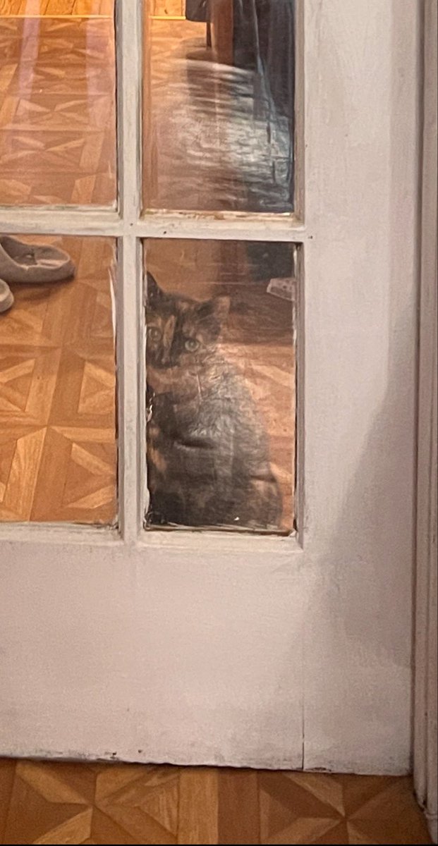 temujoandidion's tweet photo. Do NOT trust her https://t.co/1NIT7dKpi5