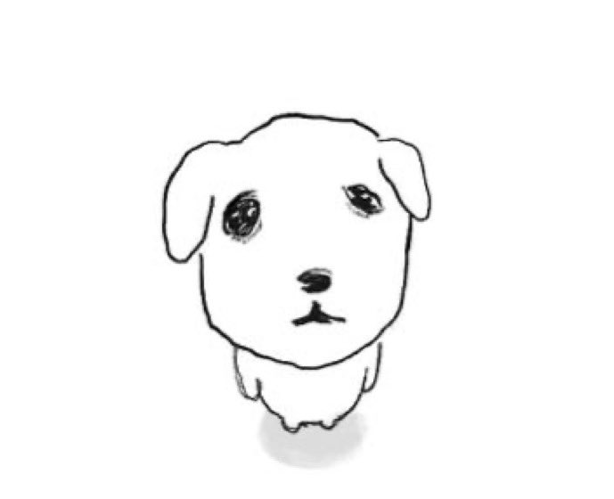 chiik0ng's tweet photo. 사고 싶은 거 다 품절이네 https://t.co/3AuLUgnTvL