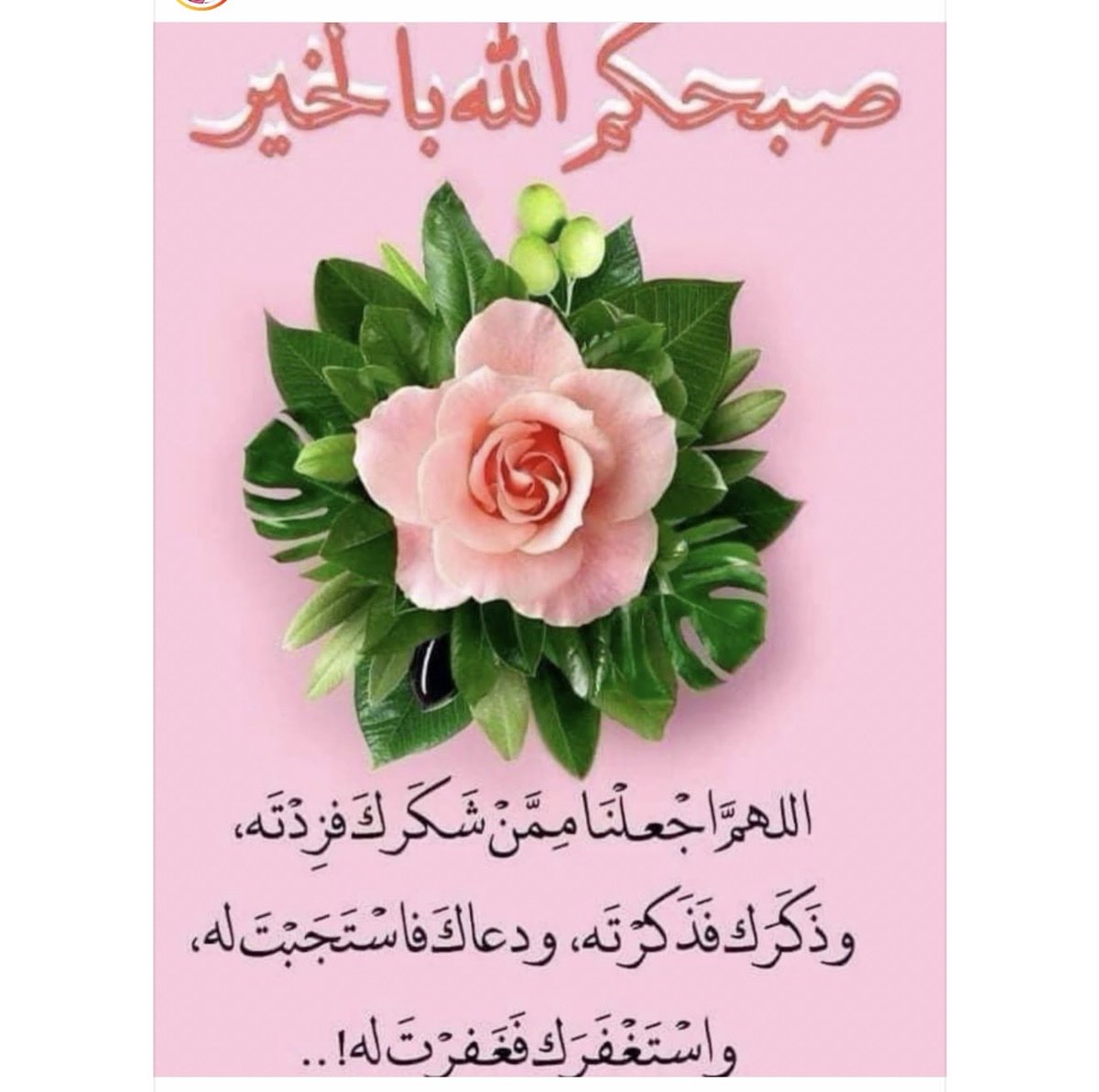 UmHasan_02's tweet photo. https://t.co/CVEyUsWQ28