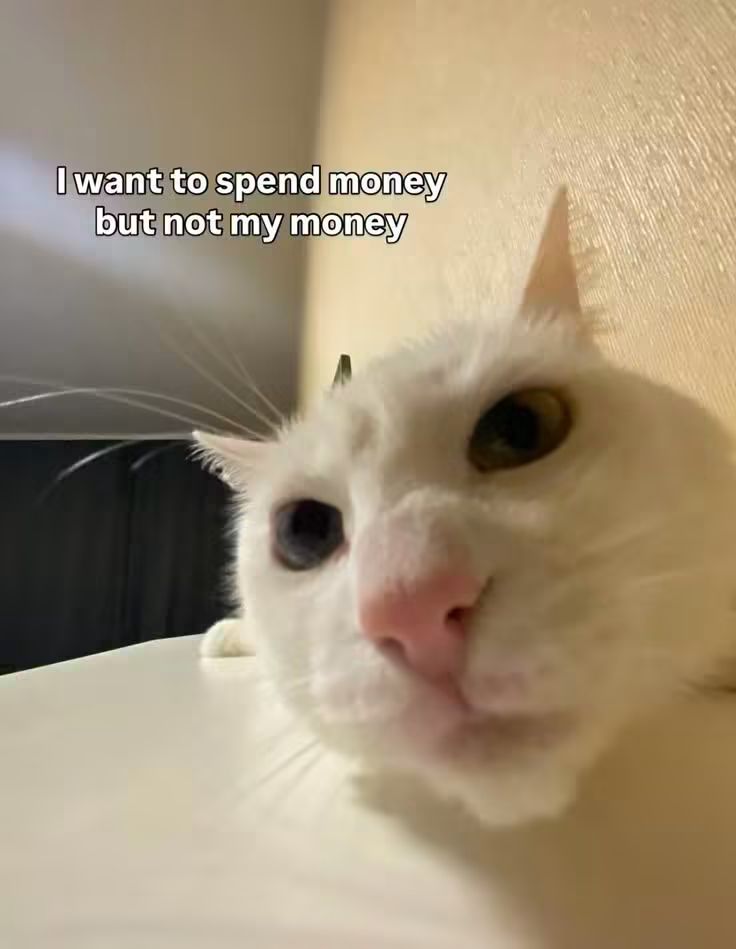 WholesomeMeme's tweet photo. https://t.co/QtcIHlx9Bq