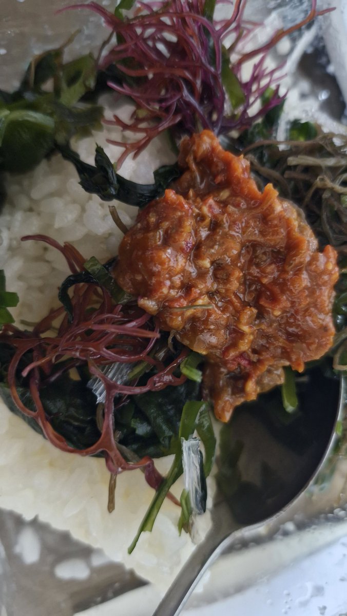 pm9978040's tweet photo. 자주 먹는 식단~
초초초간단ㅎㅎ
해초 불리고 한우매콤장에 비벼 먹어요😁
바다가 없는 청주서 귀한 메뉴~~
뜨끈한 국물이 먹고 싶어 사골 곰탕과 함께 ❤️ 

#해초 #건강식단 #힐링 #청주 https://t.co/Gv0lngWJr9