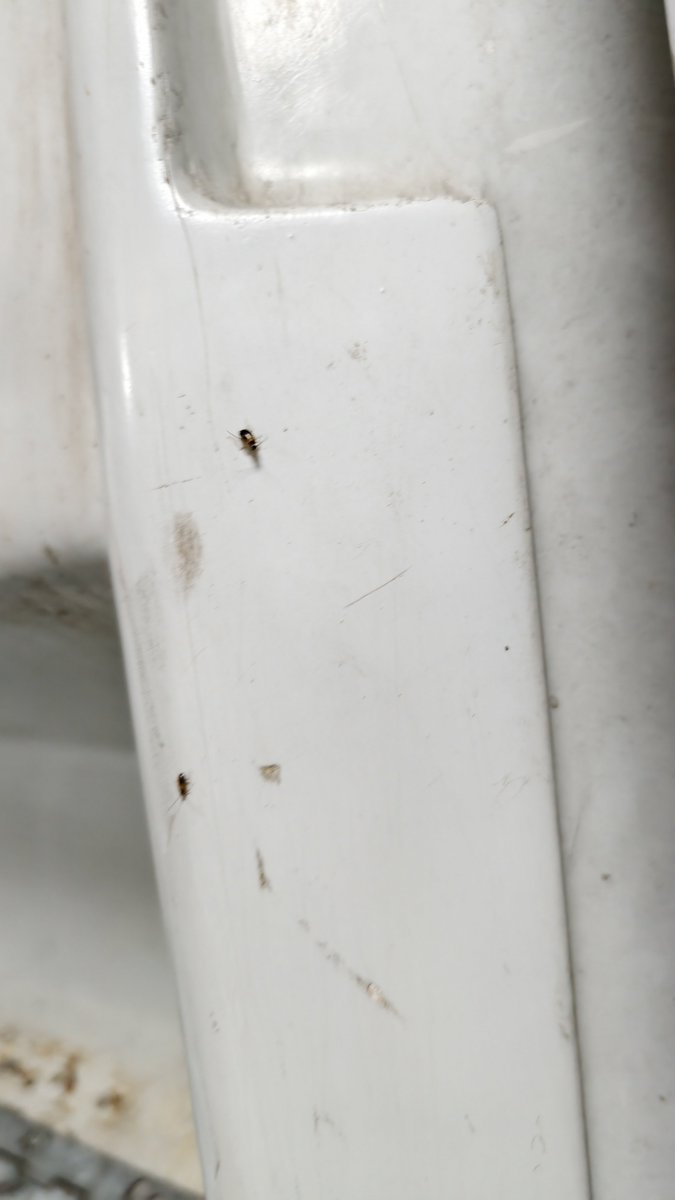 vivekpathak27's tweet photo. @RailMinIndia @Indianrlyinfo trainno 22159 my pnr8449755875 bogy M6 lot of @Cockroachisback members hiding in the toilet.lot of croches in toiltet https://t.co/gTjphdcljI