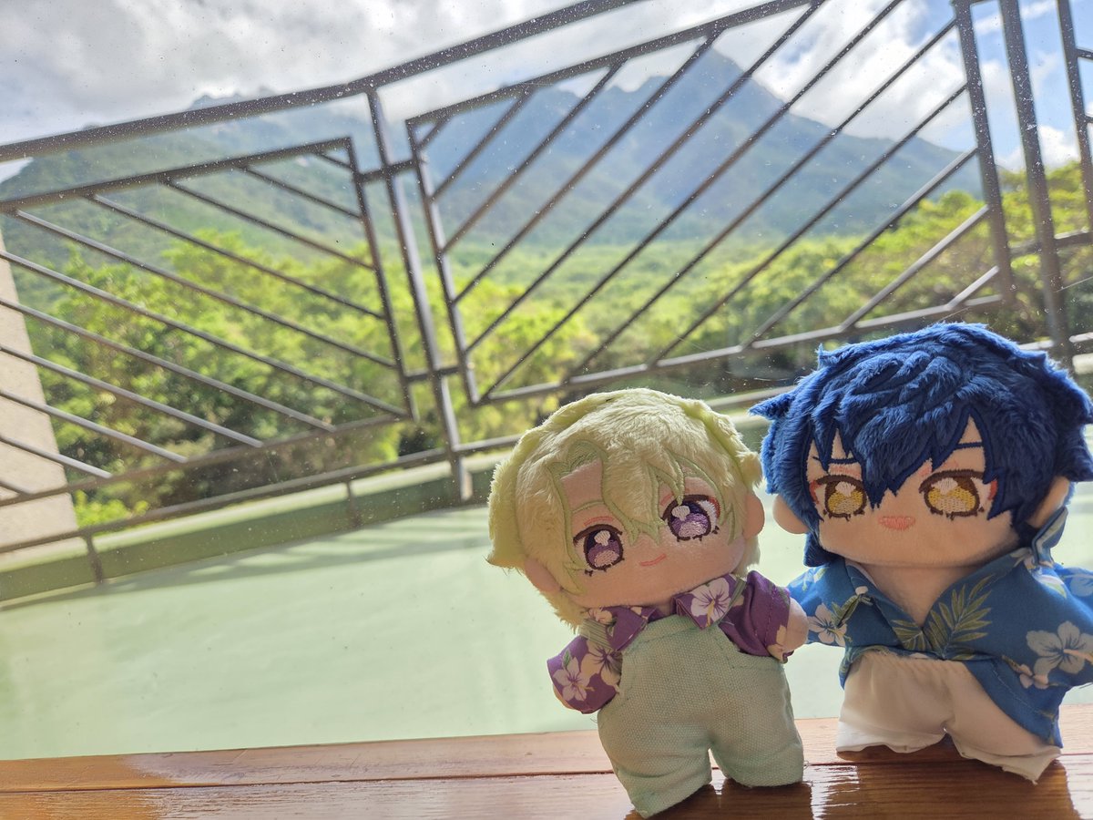 shghfpos86's tweet photo. さよなら屋久島！楽しかった♡ https://t.co/qivrLVKL18
