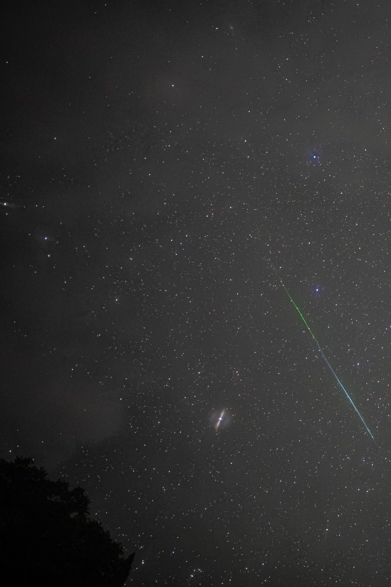 OSelf07's tweet photo. ペルセウス座流星群
・
・
タップしてご覧いただくと
流星の綺麗な色がわかります🌈

SONY α7Ⅳ
SIGMA 20mm F1.4 DG/DN Art022
ss:10S  f1.4  ISO6400
with  crop an image https://t.co/KyEFI8Uvcy
