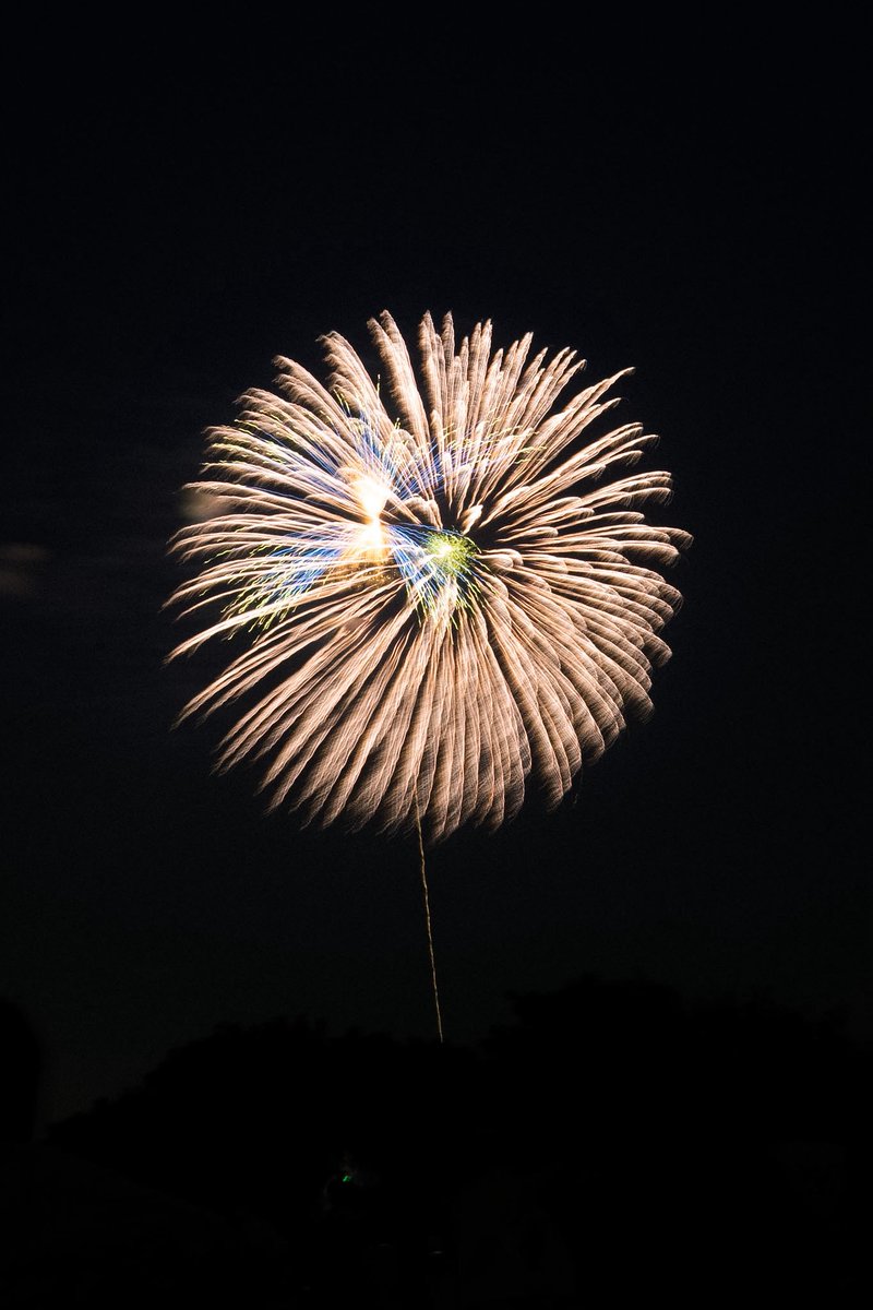 Dokokanomashuu's tweet photo. 夏の色にときめいて。
Nikon Zf https://t.co/FRePvcae7T