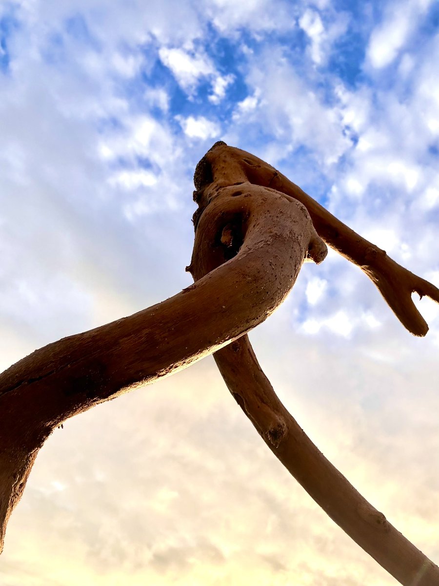 rriffom's tweet photo. Recorriendo la playa de #LaSerena entre abundancia de maderas me encontré con el dios Ra y sus musas danzantes. La naturaleza volvió a ganar. https://t.co/e3lfjWgnyX
