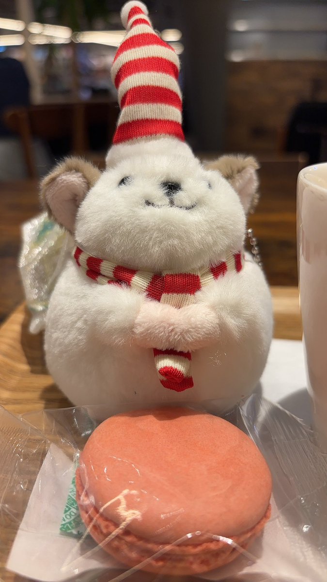 hanakarin11's tweet photo. @kalchinchira ありがとうございますっ🥹💕チンチラちゃんとお茶してゆったり過ごしました☺️ https://t.co/ympvOtYnug