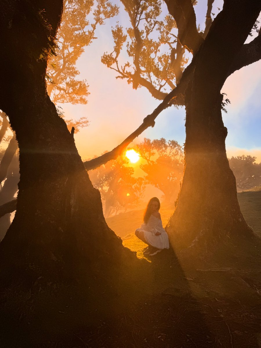 MichaelMoriyb's tweet photo. تحفيز يومي: Wisdom heals the 👍 seed of greatness. 💧 Anna Ramos https://t.co/l6sU5eV8rU