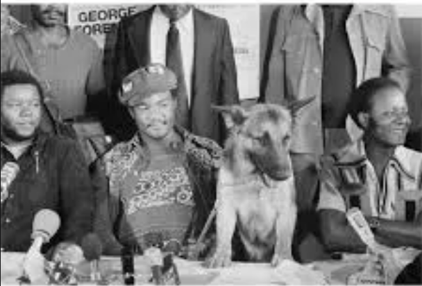 ConsumptionPhil's tweet photo. @Steve_Sailer George Forman was a German shepherd fan - you can see him with Doggo in When we Were Kings doc on Rumble in the Jungle https://t.co/EODvJK40VX