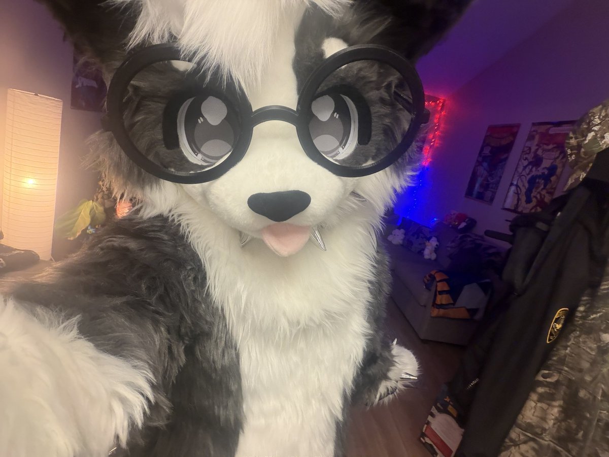 fishwithpaws's tweet photo. woooof #fursuit #furry https://t.co/YSz1ferI8B