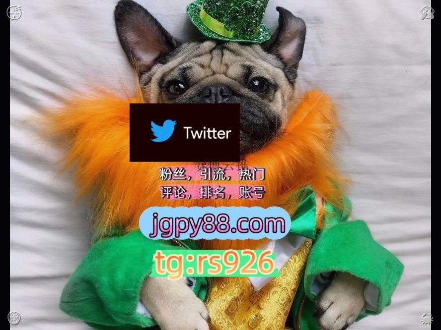 someorder's tweet photo. Keep peace within you no matter what.
代发海外获客🌺互推助手🎌数字货币🍁外🐸facebook霸屏🪐群发私信💐海外获客🍀
推特软件推特账号矩阵互动🌞輔助工具🌂深圳广州东莞佛山中山珠海
推特矩阵系统、Twitter矩阵系统、X矩阵系统世界杯围236421推特账号
推特矩阵管理、营销自动化、内容运营杭州代 https://t.co/nYaryfhxJt