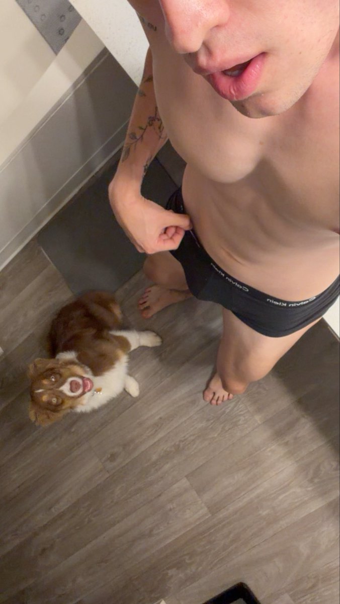 taysonnff's tweet photo. Tengo perrita 🐶 https://t.co/lNeyxn6q5N