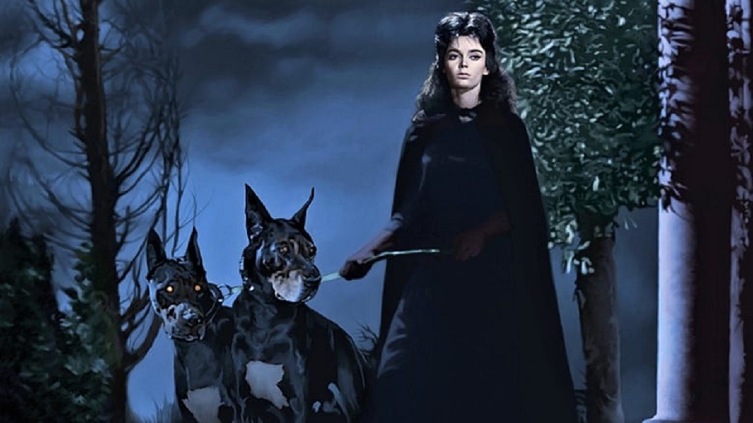 HorrorHammer1's tweet photo. Barbara Steele and pups in Black Sunday (1960) https://t.co/dbGUcHUORJ