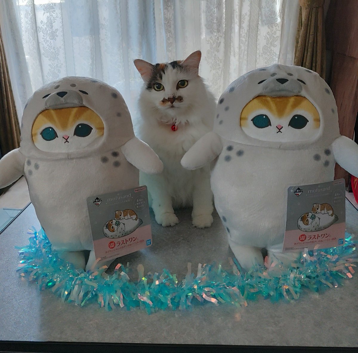 non525chiroru's tweet photo. モフサンド一番くじ😹
チロル😹ラスト2賞ニャン🐾👍
#モフサンド一番くじ
#モフサンド
#ねこ好きさんと繋がりたい https://t.co/uI5yiwCDHh