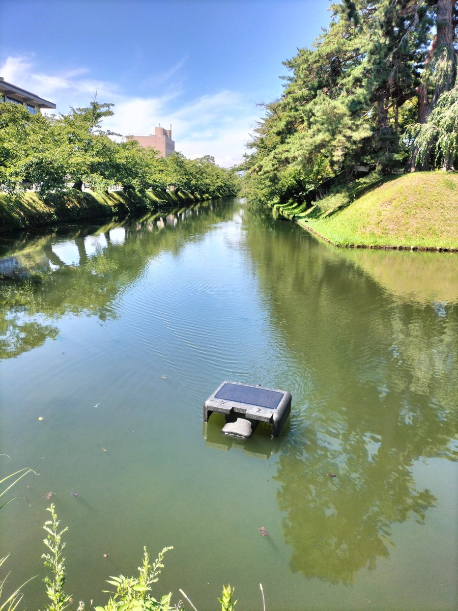 cactus0713's tweet photo. え…誰…何…え…
#弘前公園 https://t.co/wq39a2lzON
