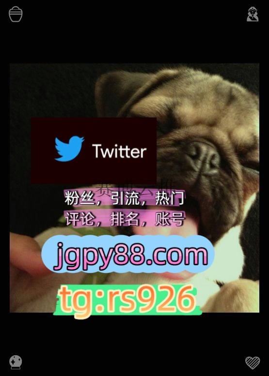 yf8ixb's tweet photo. Be useful and helpful to society now.
排名号海外流量、品牌推广、社媒营销外🔦facebook海外获客🌺互推助手🎌数字货币🍁
推特脚本推特账号注册号成都
点赞号自动脚本围928287粉丝号
上热门温州代发济南   🥬客.服看→资.料
推特软件instagram🐭 https://t.co/wuMmzOrLFO