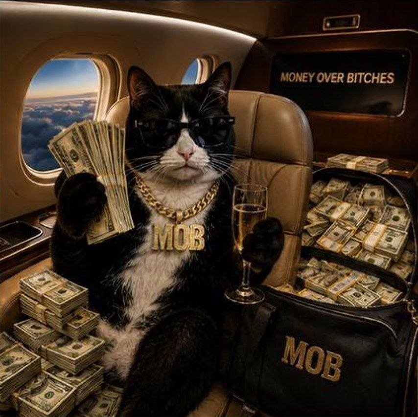 CryptoEagle100x's tweet photo. @cryptogems555 A cat.

A bag.

A blockchain.

That's the whole story.

$MOB 🐈‍⬛💸

@mob_on_sol_cto https://t.co/EeiRW8wg8O