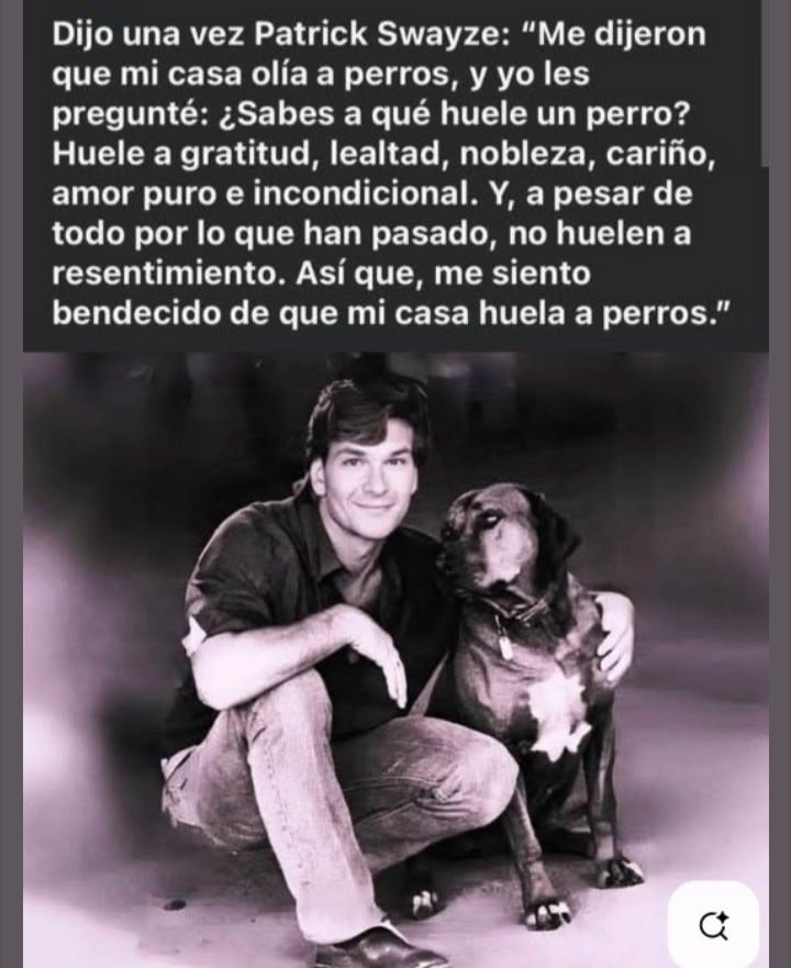 LunaGitana0333's tweet photo. Dijo Patrick Swayze que su casa olía a perros… 
 Y que eso era una bendición.

Porque un perro huele a gratitud, a lealtad, a nobleza, a cariño puro.
Y, a pesar de todo lo que ha sufrido, no huele a resentimiento.

Yo lo amplío: 
 No solo los perros.
 Todos los animales.

El gato que vuelve. 
El caballo que espera. 
El pájaro que confía. 
 El que nadie eligió y aun así se queda.

Ellos no cobran. 
No traicionan. 
No olvidan quién les dio de comer… ni quién no lo hizo.

Si alguna vez sientes un olor que te molesta, detente un segundo.
Tal vez no es el animal.
Tal vez es el eco de tanta falta de agradecimiento humano.
Yo prefiero que mi casa huela a fidelidad
antes que a egoísmo disfrazado de limpieza