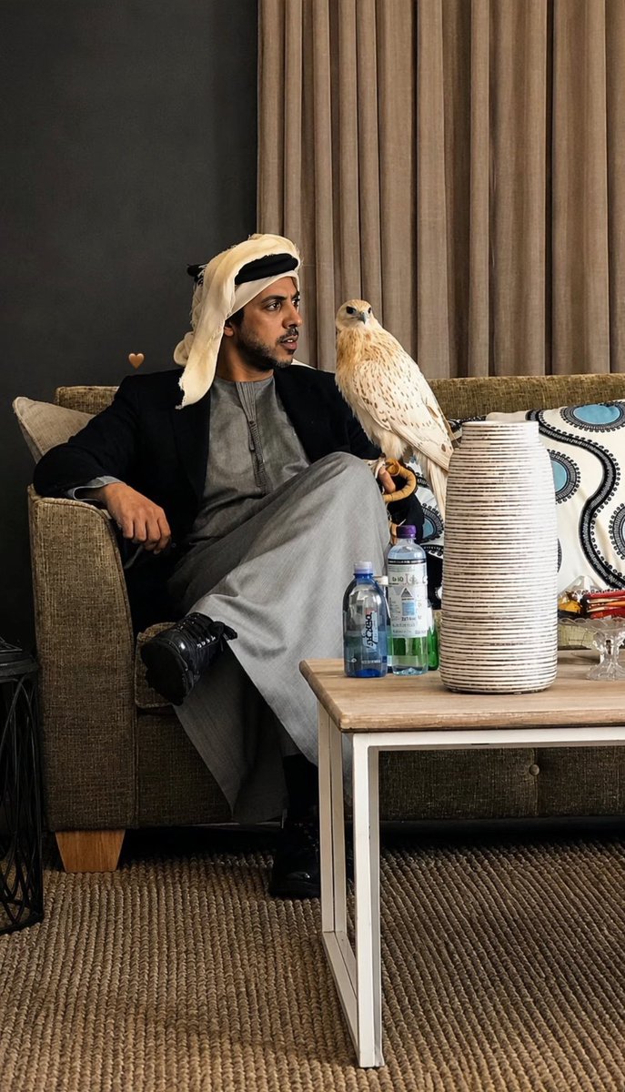 suhail60's tweet photo. سمو الشيخ منصور بن زايد آل نهيان 🤎 https://t.co/Cek2gWSy8N