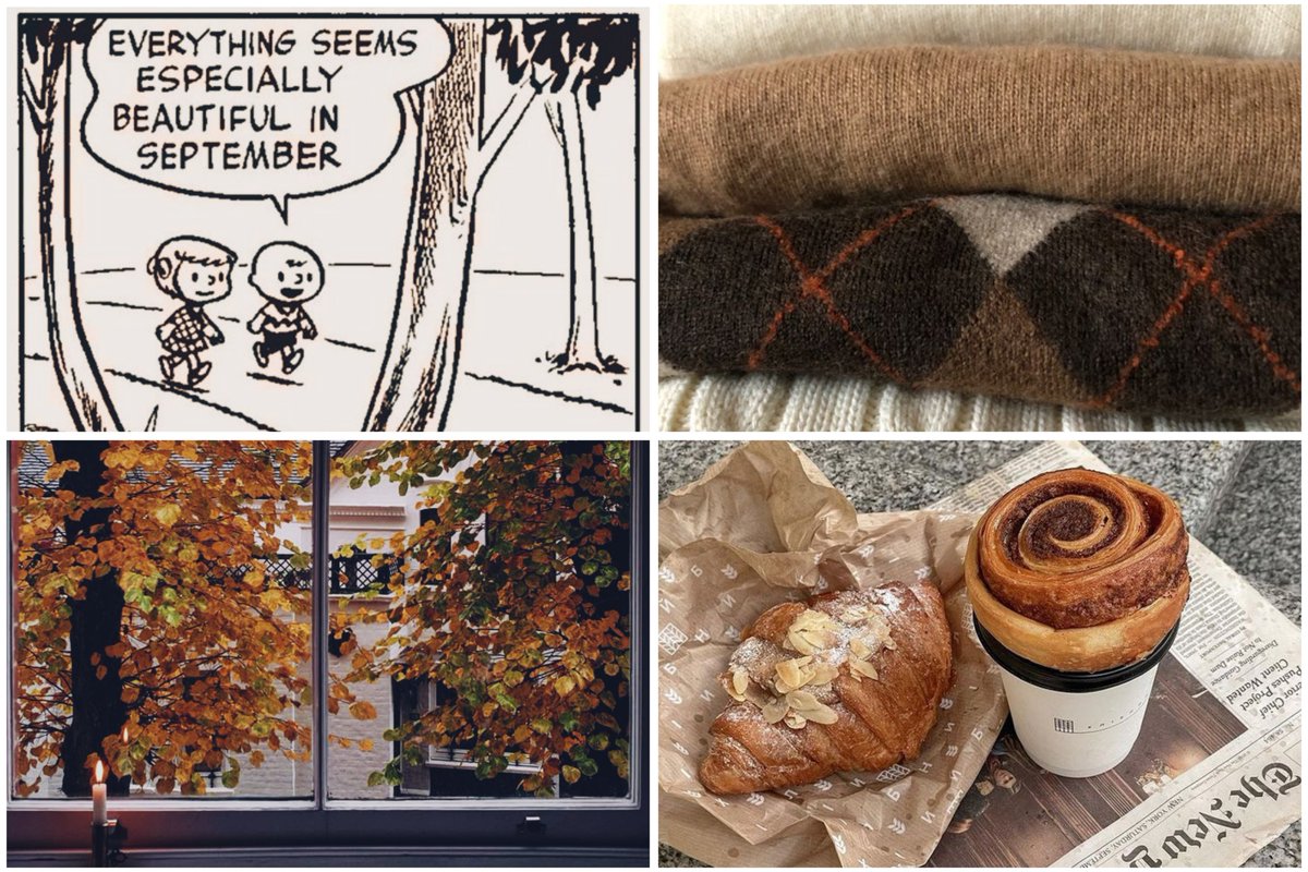 AcademiaDreams's tweet photo. almost September 🍂🧡 https://t.co/RgsYfU6I3R