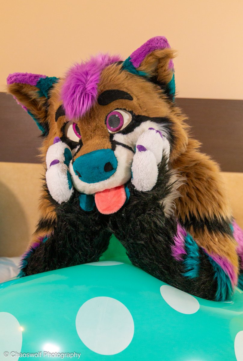 Skylarfolf's tweet photo. Found something big n squishy this #squeakysaturday :P

📸 Thank you so much @Chaoswolfphoto / @TakenyaChaos for taking these awesome photos at #EF30 <3 https://t.co/axtP8oSbjH