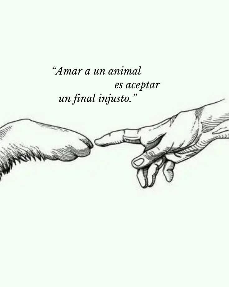 rey_latino33087's tweet photo. https://t.co/u7tJbcAg6a
