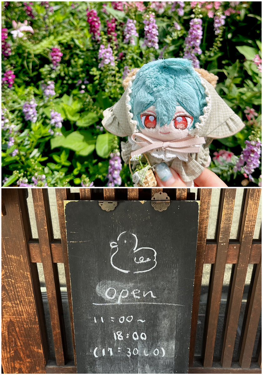 haruvvv's tweet photo. お花とcafeの日曜日☕️🪿🌿 https://t.co/hqDqtI6MHg