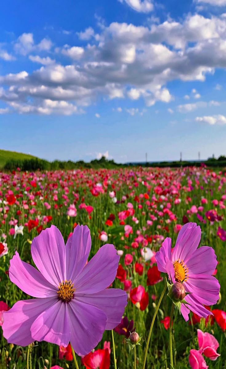AmazingEyes215 tweet picture