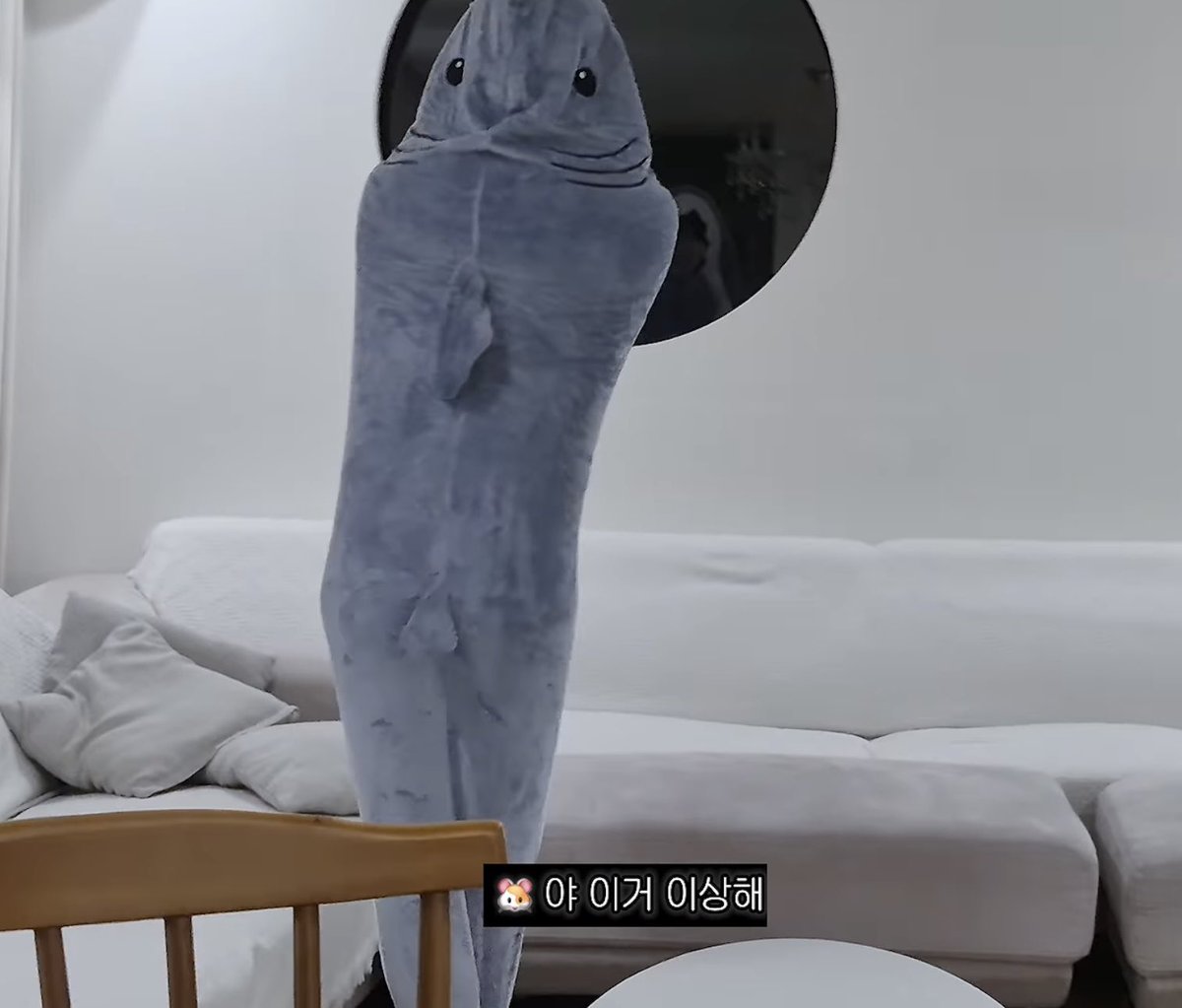 mingtti_23's tweet photo. 섹시계상어 ㅁㅊ나 개웃겨 ㅜㅜ https://t.co/k5rXw2mp0E