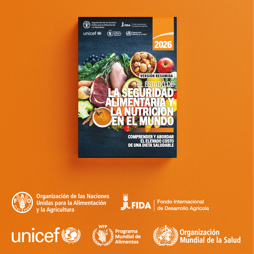 FAOMesoamerica's tweet photo. El hambre en el mundo disminuyó por tercer año consecutivo en 2025.

Sin embargo, los avances siguen siendo frágiles y están distribuidos de forma desigual, según el informe #SOFI2026 de @FAOenEspanol, @IFADespanol, @unicefenespanol, @opsoms y @WFP_es
 
➡️https://t.co/QUwPuNcwnM https://t.co/a4ez3w0eKX