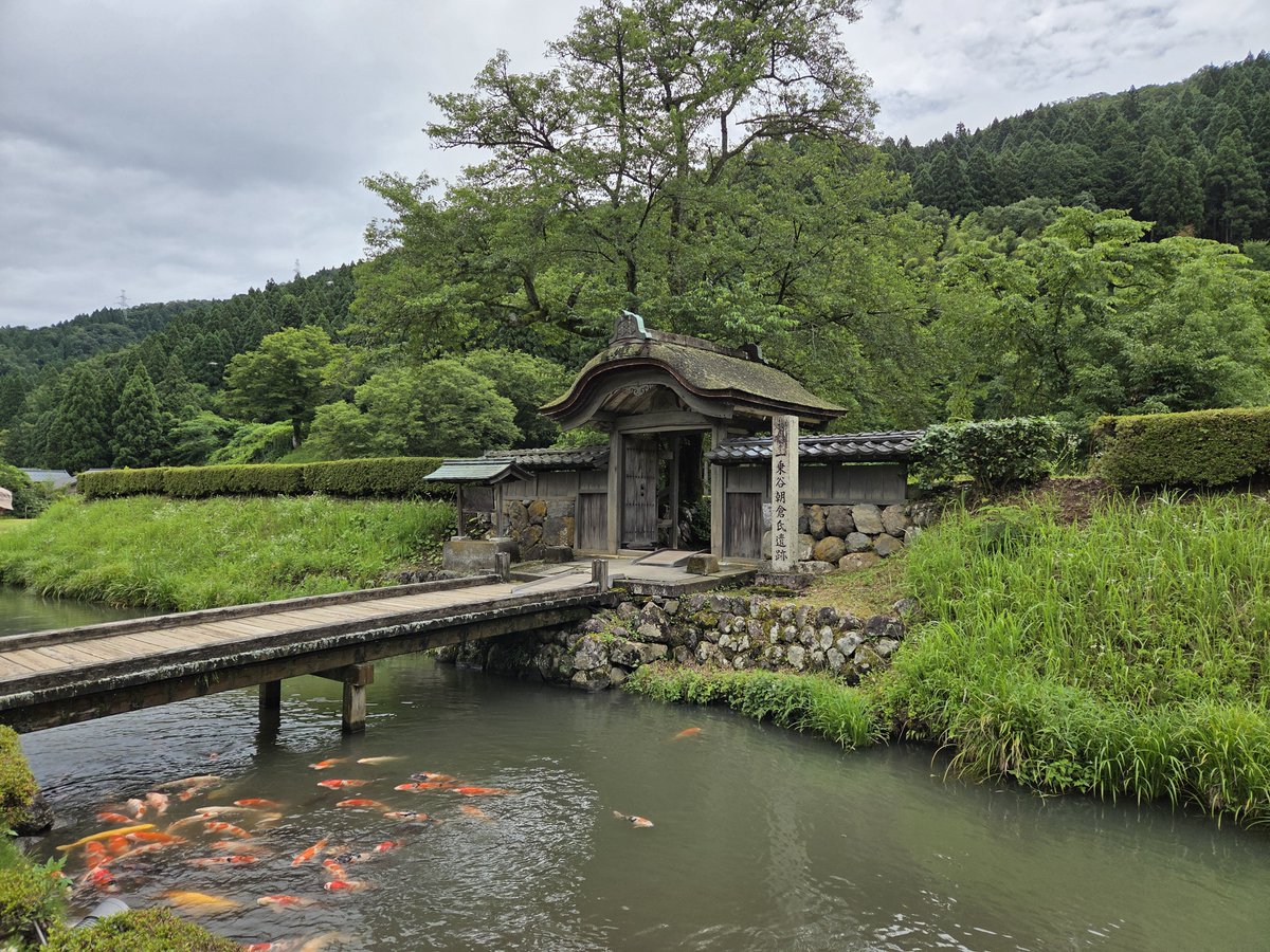 akatsuki_____'s tweet photo. 今年訪問した一乗谷朝倉氏遺跡の写真。

復原町並も見ました。 https://t.co/bsqpUQEuUU