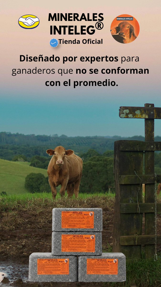 yldefonsof's tweet photo. En  Minerales Inteleg® diseñamos soluciones exclusivas para ganaderos que  exigen el máximo rendimiento de sus animales, sin rodeos ni fórmulas  genéricas. https://t.co/es2yAQZWRs
