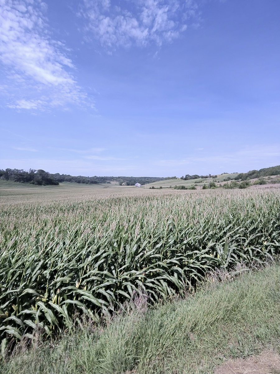 apasztor82's tweet photo. The Loess Hill Tractor Drive yesterday…… I’ve never seen such beauty!!!!! I’ve got a gizillion pics and videos and not one of them does it justice!!!!! Huge thanks to @FernedingFarms for letting me run their 4020…. I can see now why everyone loves them!!!! What a sweet driving tractor!!!!!!