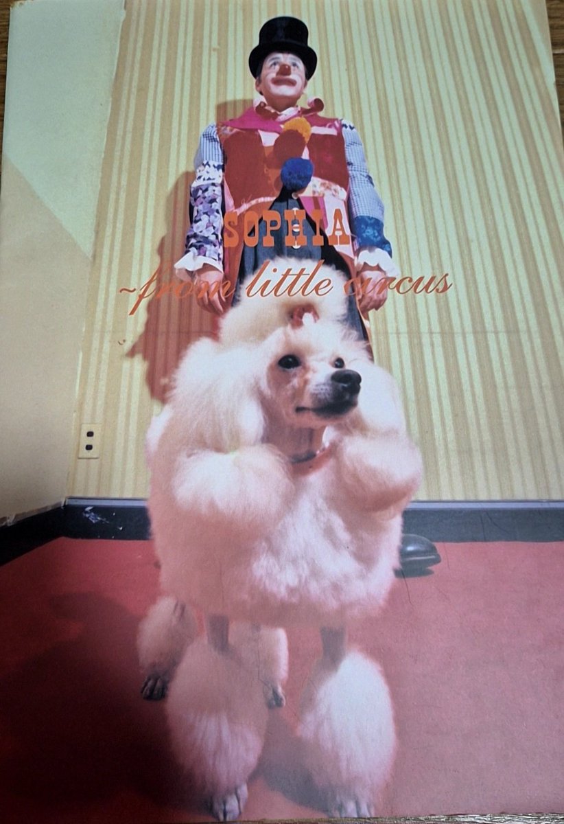 nimi323's tweet photo. ファンクラブというものに初めて入会してほぼ天井席の真ん中あたりだったけどチケット即完売ってのによく取れたな。
開演遅れたのは覚えてないけど、初めて聞くエディット・ピアフからのピエロが飛び出してきたのは本当に驚いたしSOPHIAがいる！って感動した。
パンフひっぱり出したら29年前？？え？ https://t.co/bdOdZwiyOS