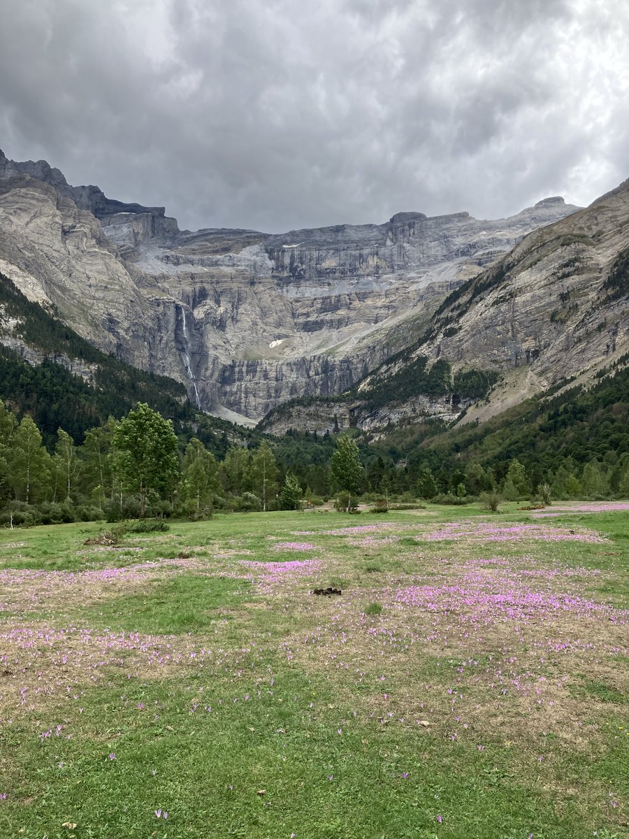 GabiKomain's tweet photo. @batxan_46 @meteoduruelo Gavarnie hace 2 dias, una alfombra era https://t.co/6OBFuosEyv
