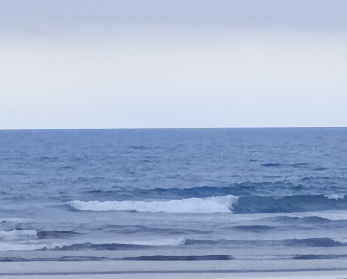 NsSFBrd's tweet photo. I had a cup of coffee at the harbor.
I had a friendly chat with the owner of a local surf shop.
It was a fulfilling day off. https://t.co/yqP56dl0QW
