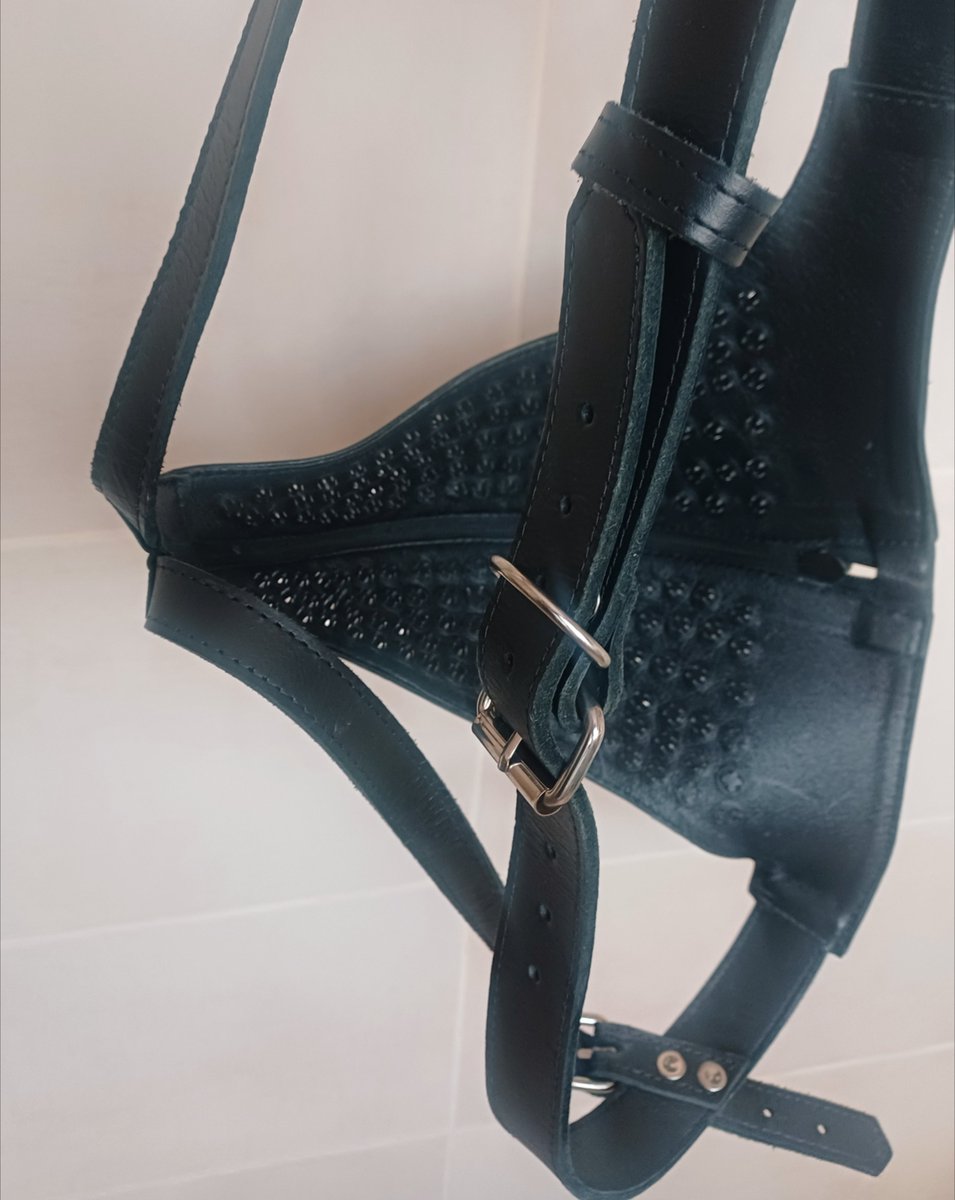 FLR_Hubby's tweet photo. I remembered we have these punishment panties in the closet😈. My husband will enjoy them😈#femdom https://t.co/81ieguhsnr