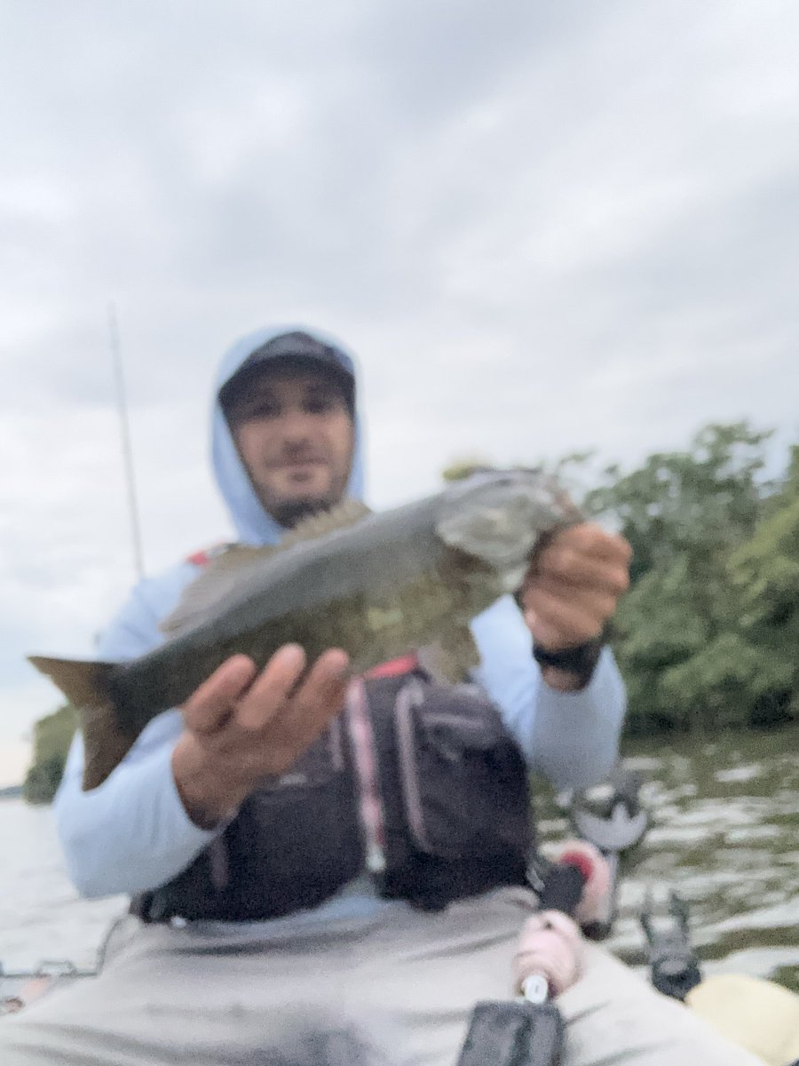 adicted_angler's tweet photo. Smashing River smallmouth https://t.co/f6OaWSHbip