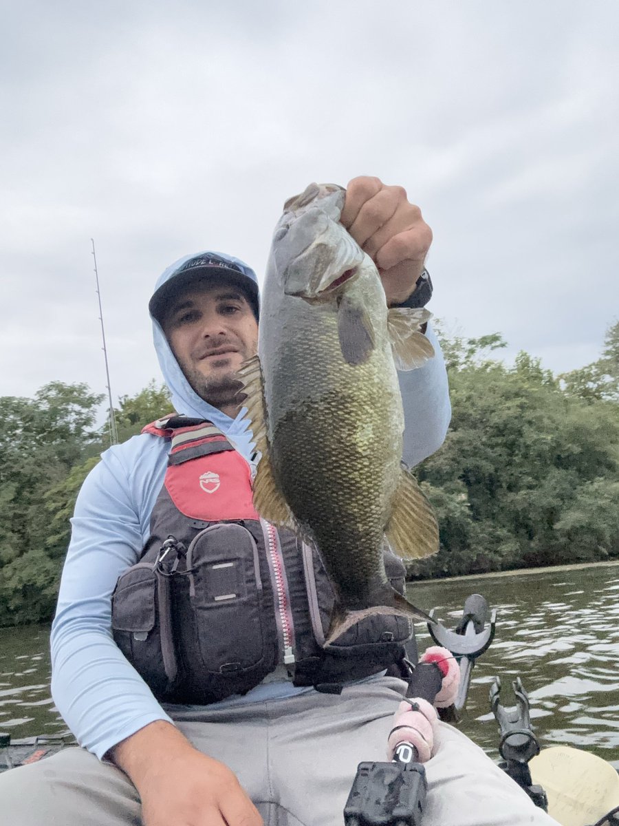 adicted_angler's tweet photo. Smashing River smallmouth https://t.co/f6OaWSHbip