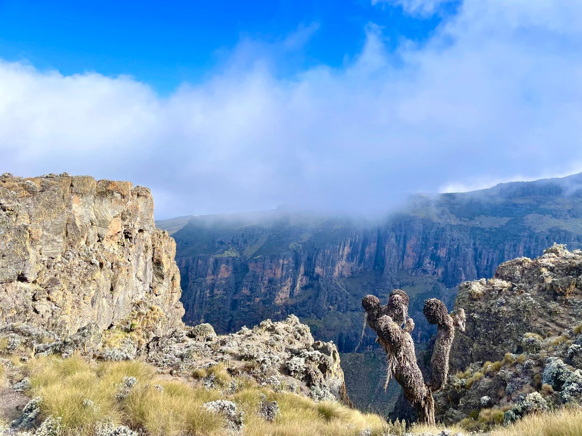 atreyu_atreyu's tweet photo. Mt. Kenya has a special place in my heart. Lake Michaelson was magical ✨ https://t.co/F23jZwwMoX