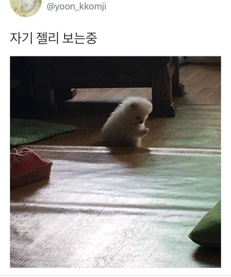 Amnchadh's tweet photo. 자기 젤리 보는 쭈 https://t.co/o8MIPMBEZg