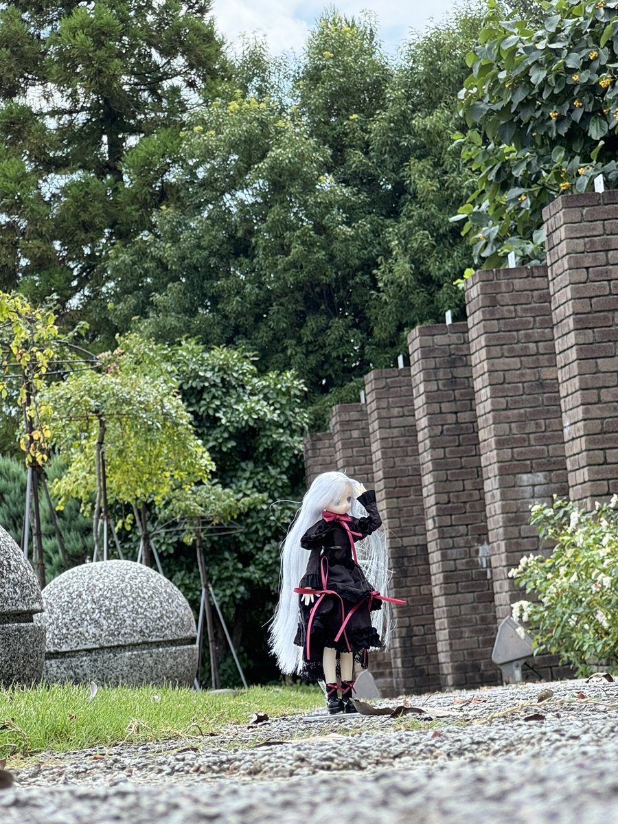 archive_fig64's tweet photo. 近所の公園で撮ってみたけど、めっちゃ難しいですね😅人目気にしながらやから、ポージングも上手く出来んままに撮りました😁
#BJD
#ドール写真
#ドールオーナーさんと繋がりたい https://t.co/uDfIU3Ugk7
